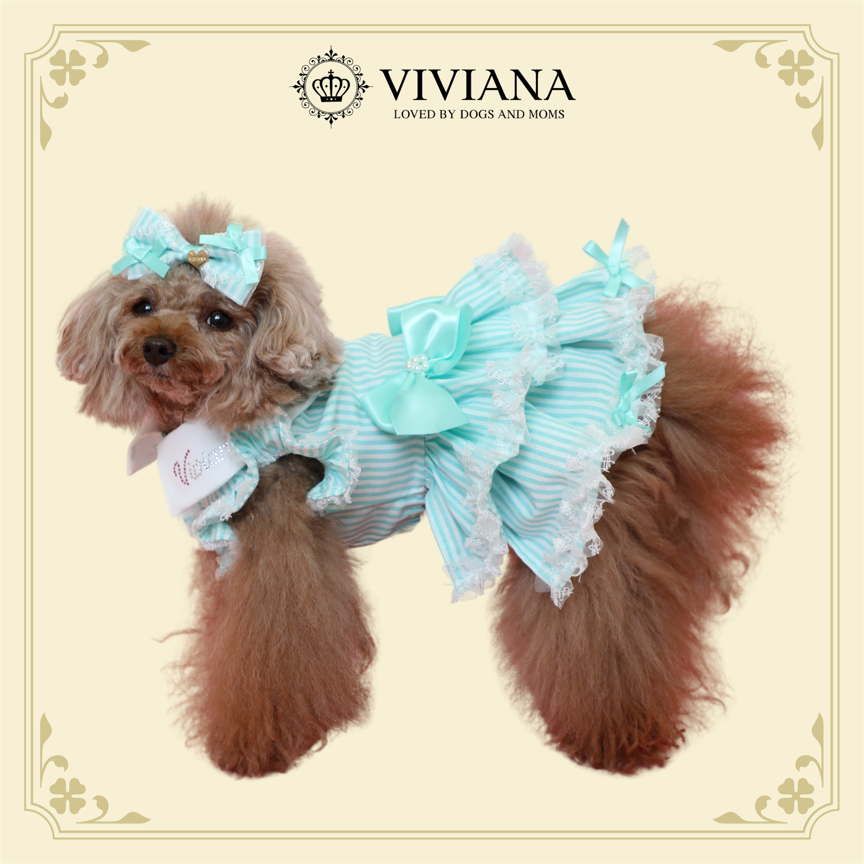 犬服・ドッグウェアブランド「VIVIANA（ヴィヴィアナ）」｜公式ペット