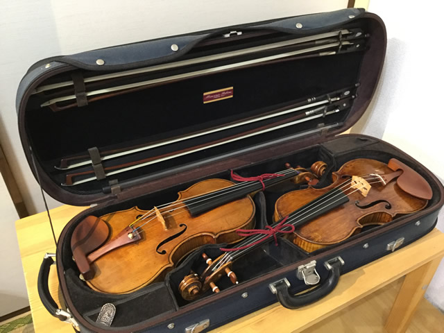 バイオリン ケース バイオリンサプライ／バイオリンケース Riboni 角型