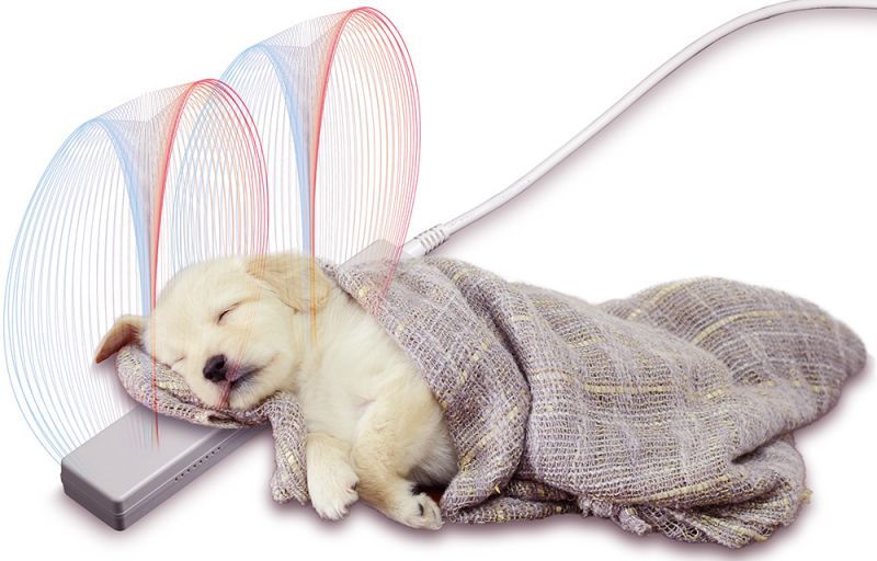 ネコちゃん・ワンちゃんに全身まるごと血行ケア