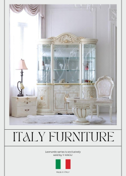 たーちゃん❣️アンティーク家具 本棚 キュリオケース キャビネット