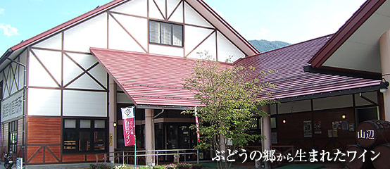 長野県4本松本信州ワイン辛口甘口ぶどうフランスレテール山辺