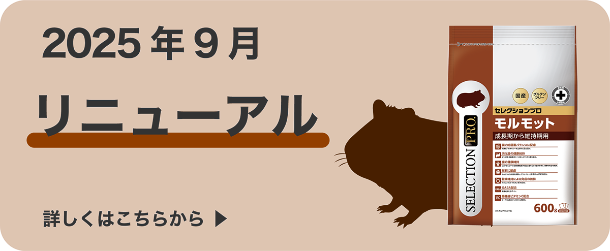 GUINIEA PIG SELECTION PRO.｜ブランドサイト ― TOP