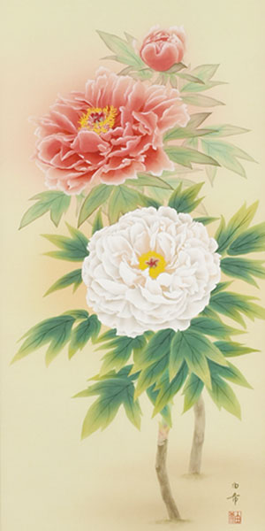 Is28 掛け軸 牡丹の花 日本画 四季花 牡丹 木箱付き 芳章 美