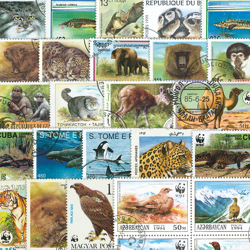 WWF 使用済切手 WWF 使用済切手 【公式通販】