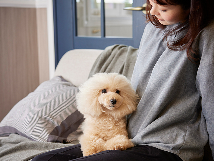 カシミヤ タッチ | ZOIC（ゾイック）株式会社ハートランド