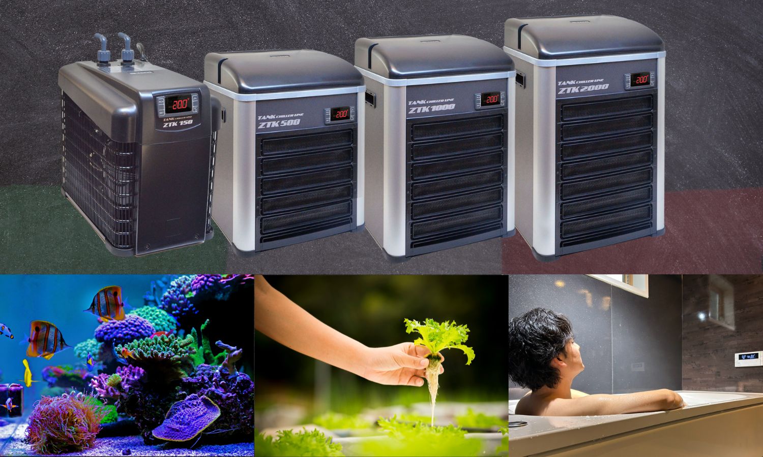 t*i様 ゼンスイ 水槽 クーラー ゼンスイ 水槽用クーラー ZR-mini