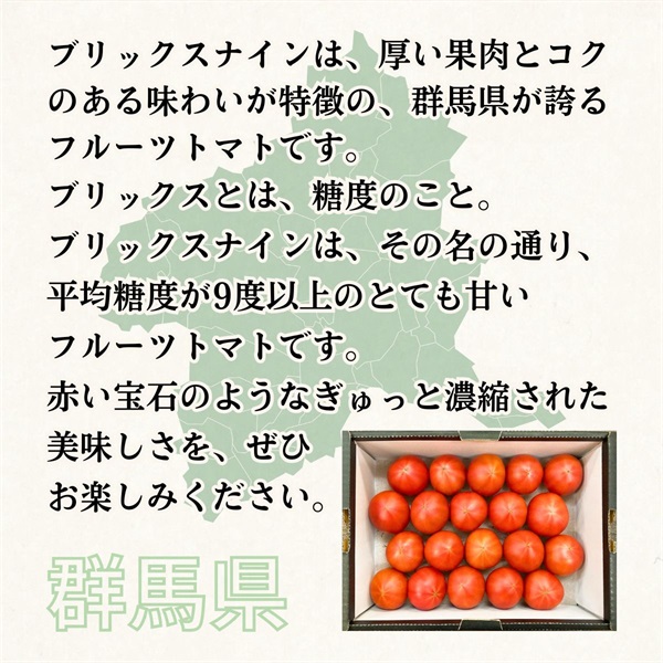 ブリックスナイン（フルーツトマト） 3月中旬発送開始 | 全農食品