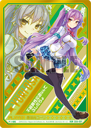 訳あり10枚セット 両面 セクシーカード レギュラーサイズ Topics No