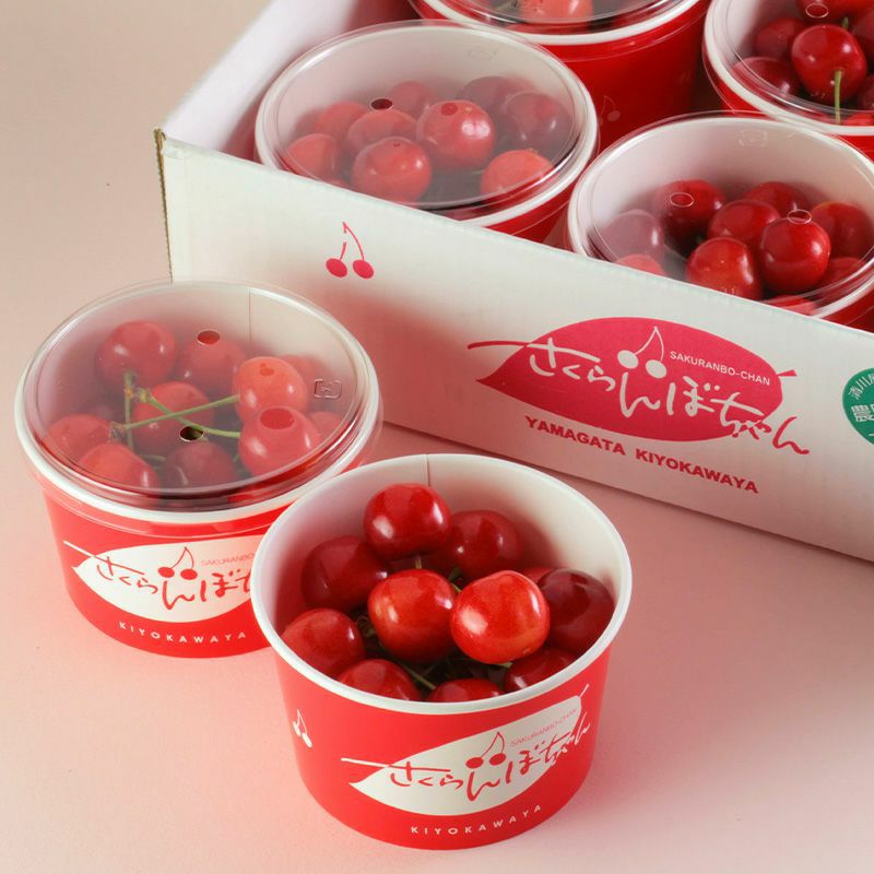 さくらんぼ BHY さくらんぼ様専用 BHY
