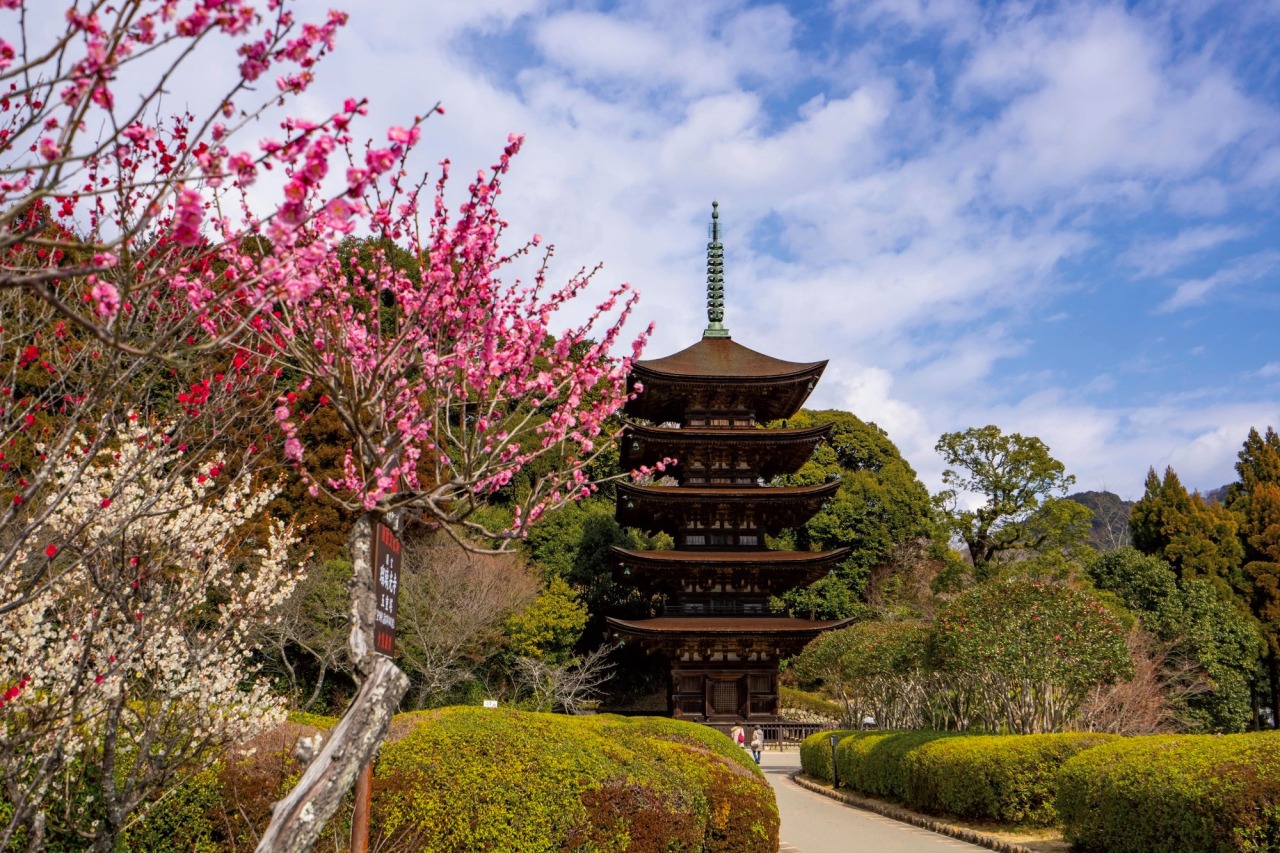 国宝 瑠璃光寺五重塔｜令和の大改修｜【公式】山口県観光/旅行