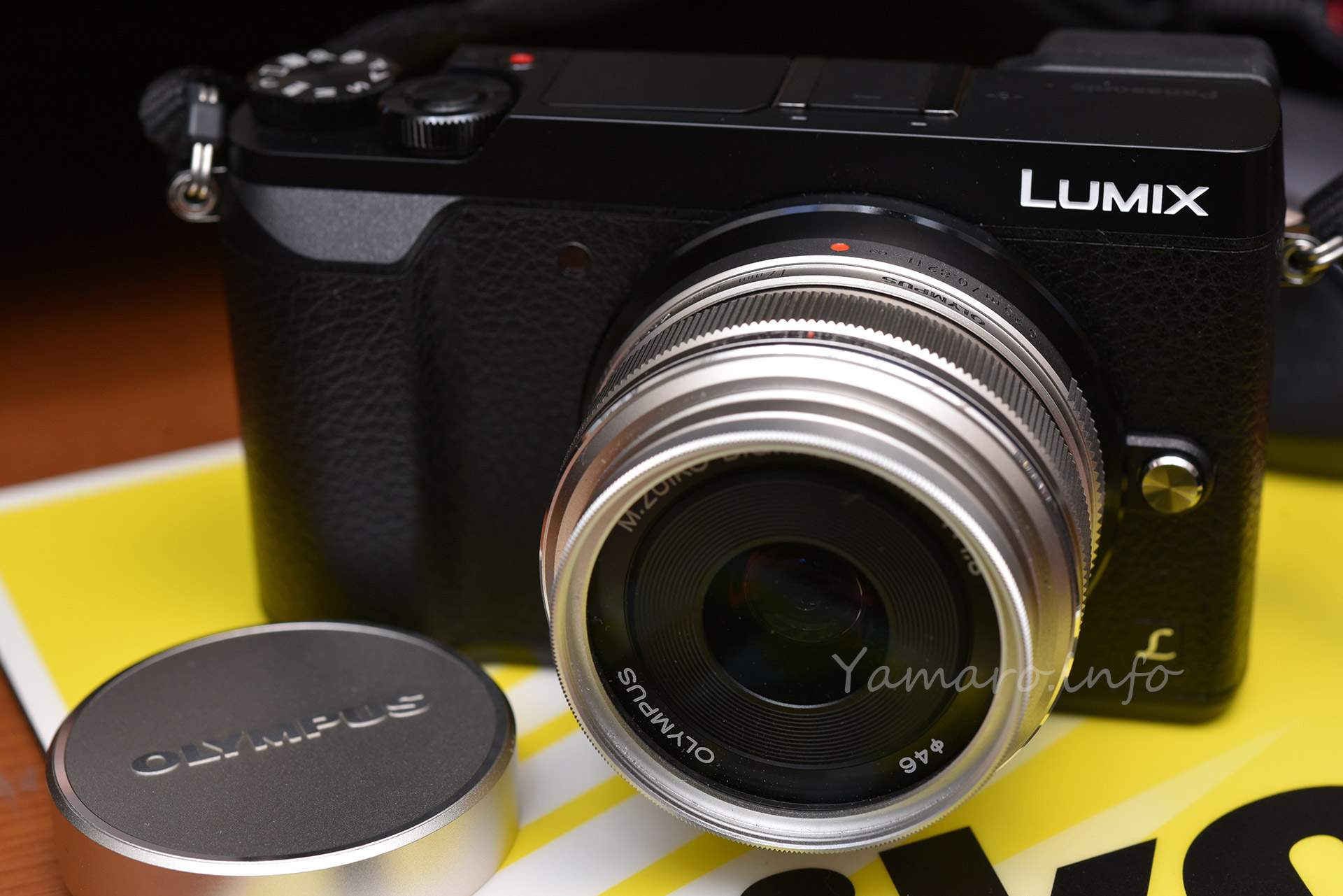 Lumix GX7MK2本体 LEICA25mm単焦点レンズ他多数 GX7MK2 と LEICA DG