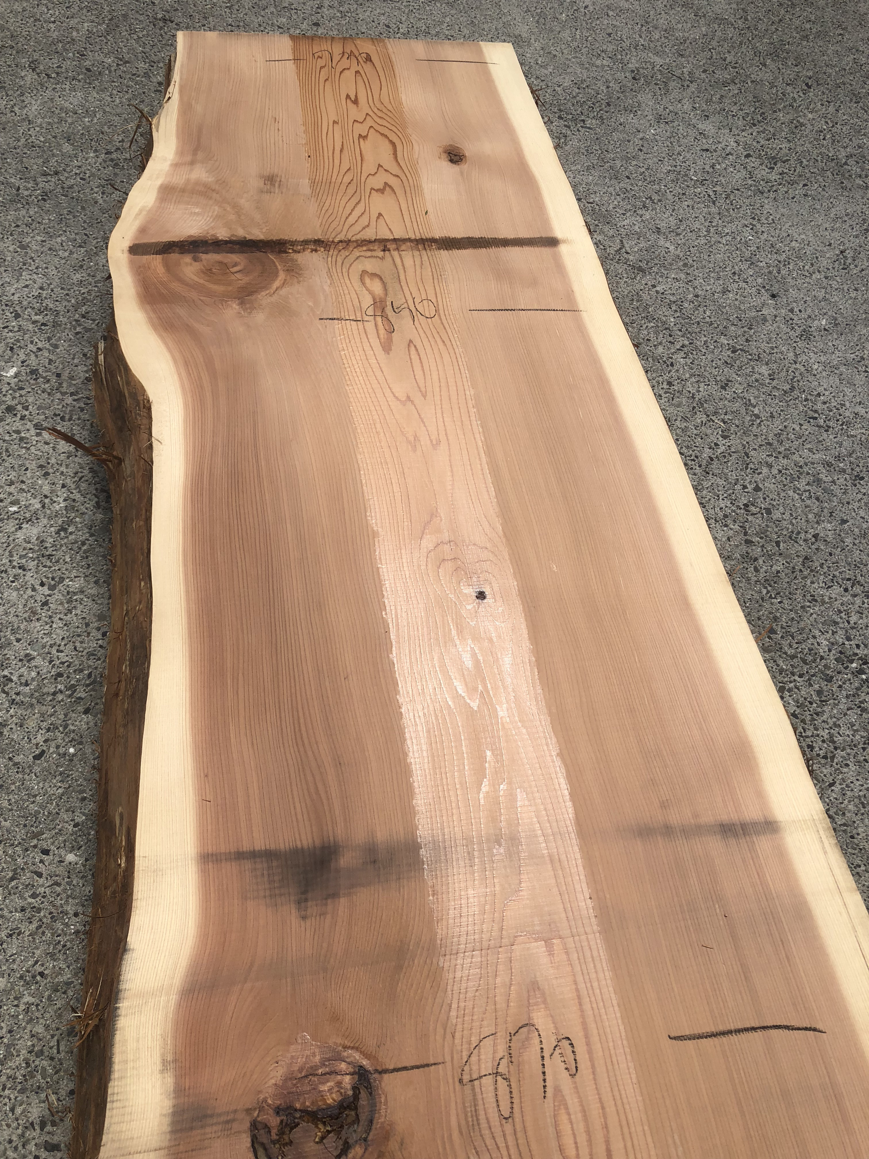 吉野杉一枚板s1168 | 一枚板テーブルと無垢カウンター販売のグリーン