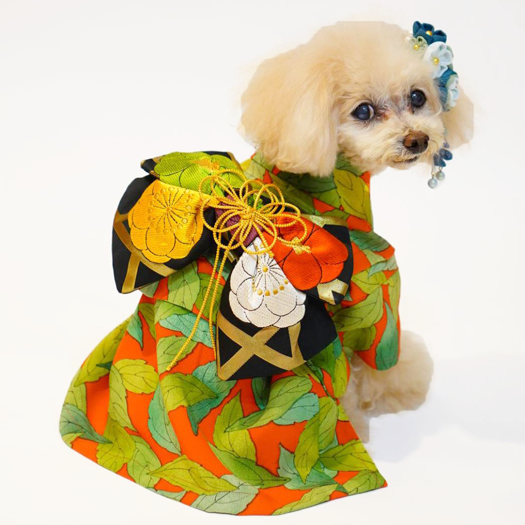 kirakiraboshi様☆犬服 ハンドメイド kirakiraboshi☆様専用