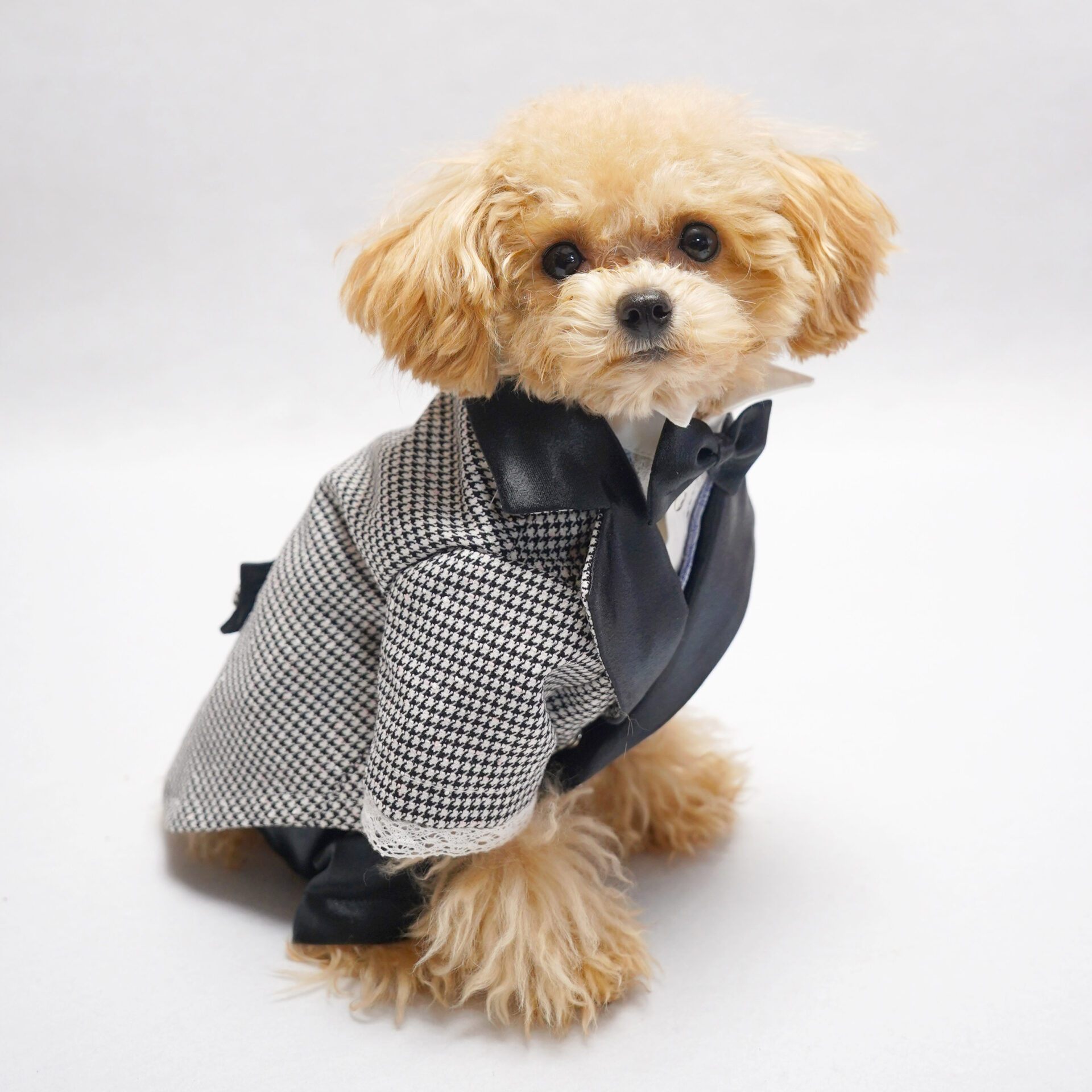 あいたん様専用 ハンドメイド 犬服たんけん様☆犬服☆ハンドメイドオーダー