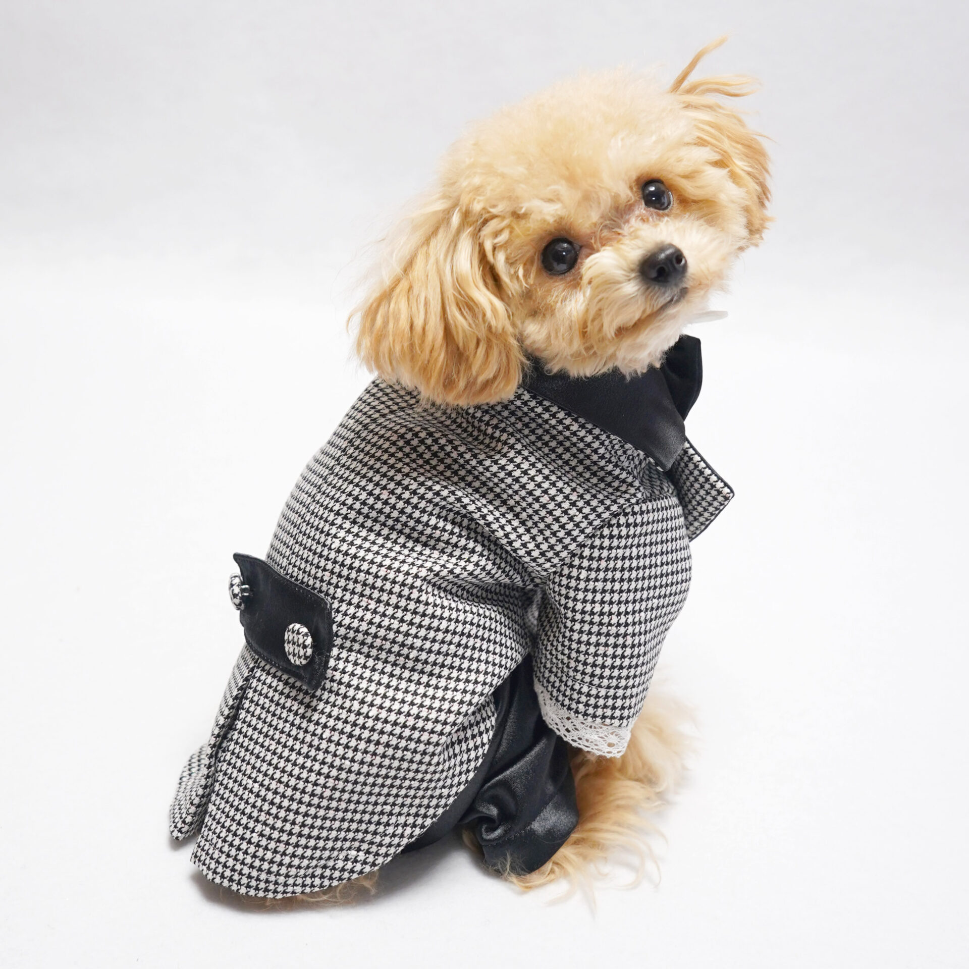 たかこ様☆犬服☆ハンドメイドオーダー‪☆4着✩.*˚ たかこ