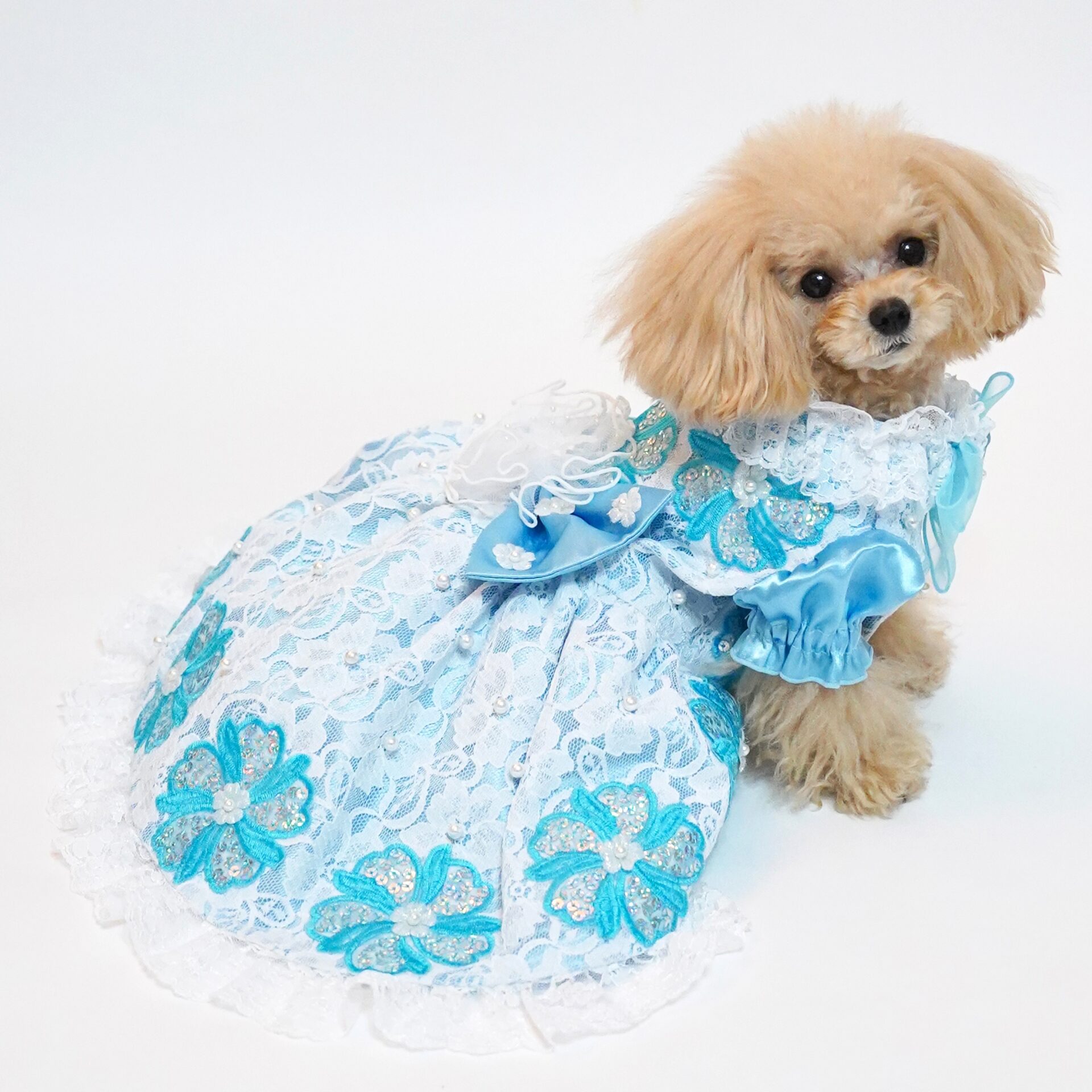 nov1012様☆犬服☆ハンドメイドオーダー Fit Wan｜すべてのわんちゃんに