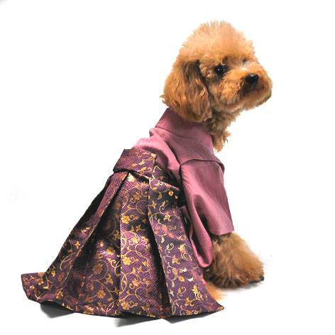 犬猫服一点限り 袴 えんじ色に金柄【男の子】ha-18 | 犬服・猫ペット服