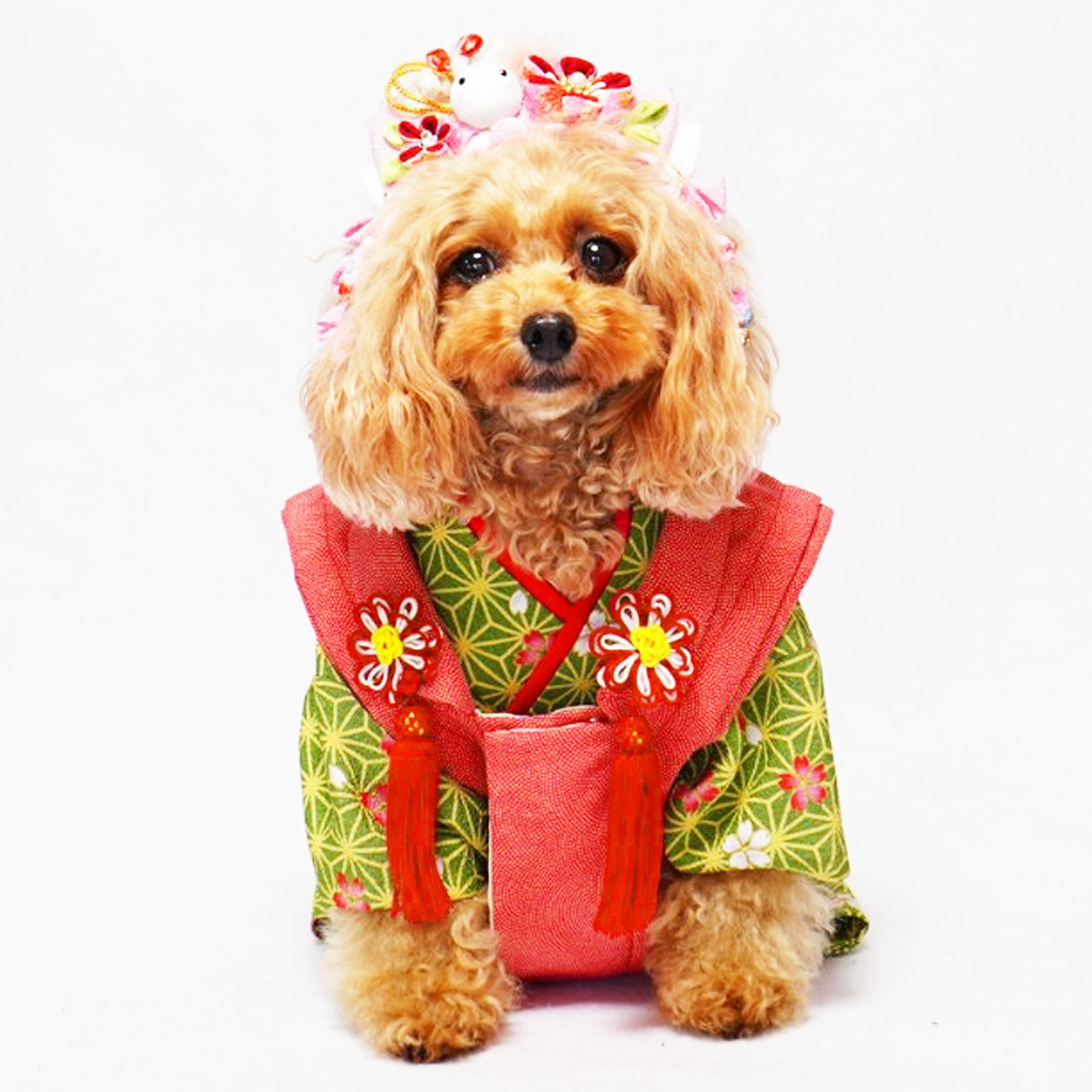 merupu様リクエスト商品6点ペット服