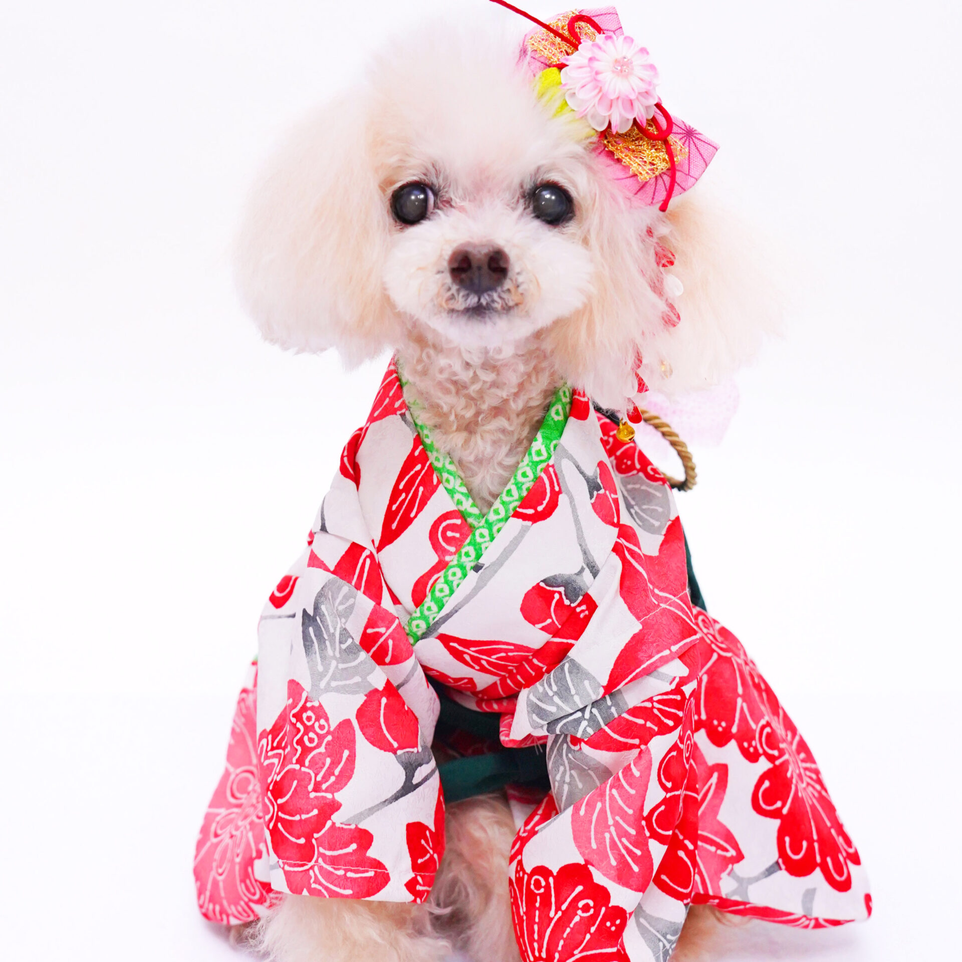 犬猫服2点限り 着物 Sサイズ ki-29 | 犬服・猫ペット服・婦人服