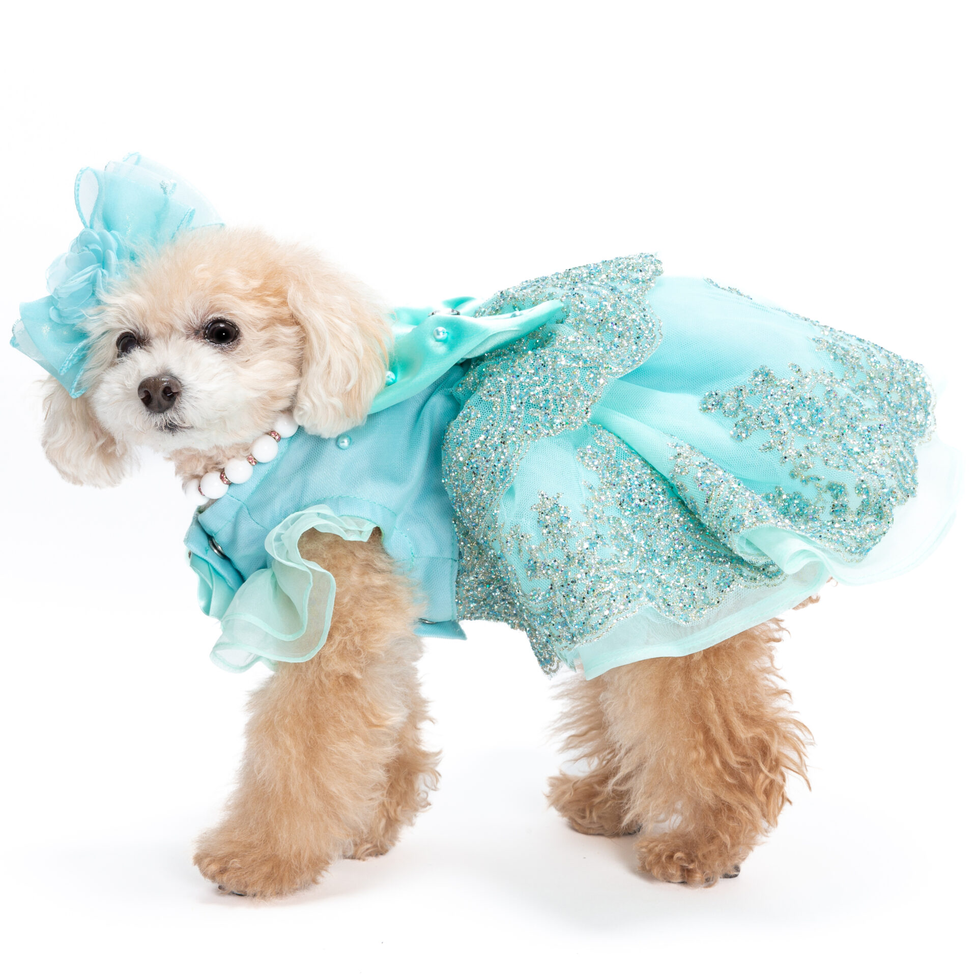 犬猫服ドレス1点限り ティファニーブルーのキラキラドレス | 犬服・猫