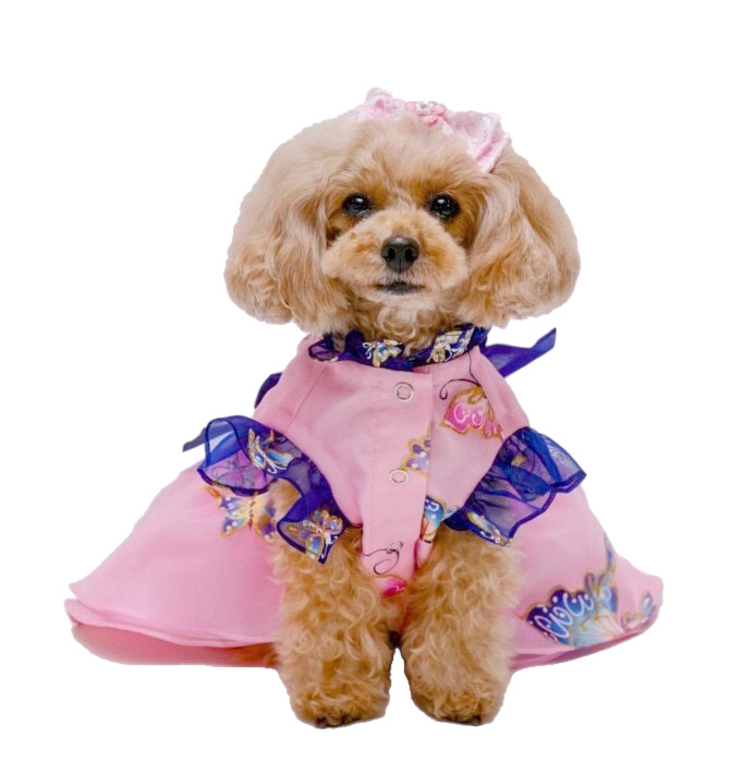 犬服 3S わんこの普段着レトロフルーツ