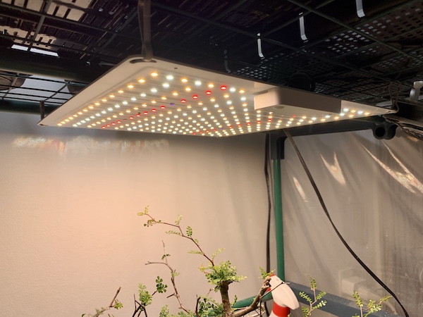 おまめ あけぼの4枚セットGREENSINDOOR LED植物育成ライト おまめ