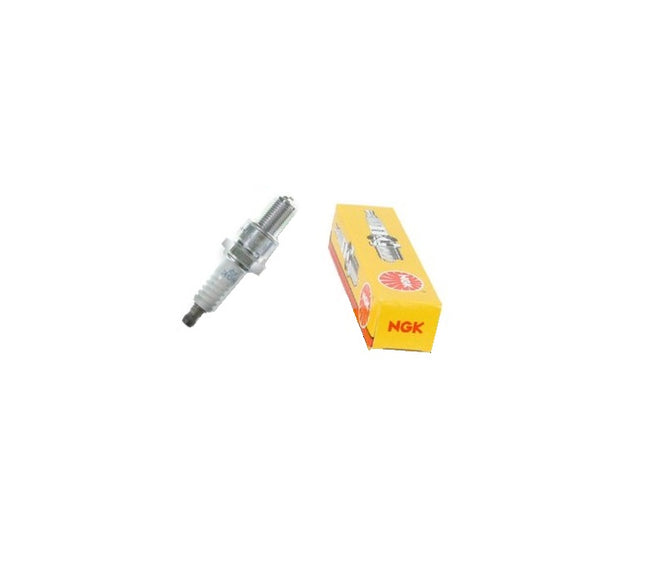 800-1096SPARKPLUG_650x.jpg?v=