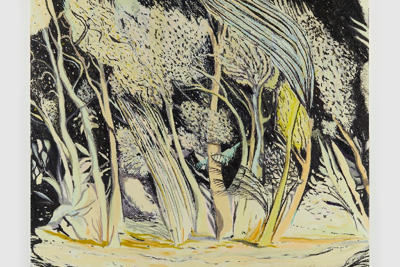 Jules de Balincourt リトグラフ 版画 【公式通販】