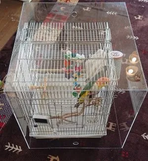 鳥かご保温用アクリルケース | お客様の声 | アクリルケースのオーダー