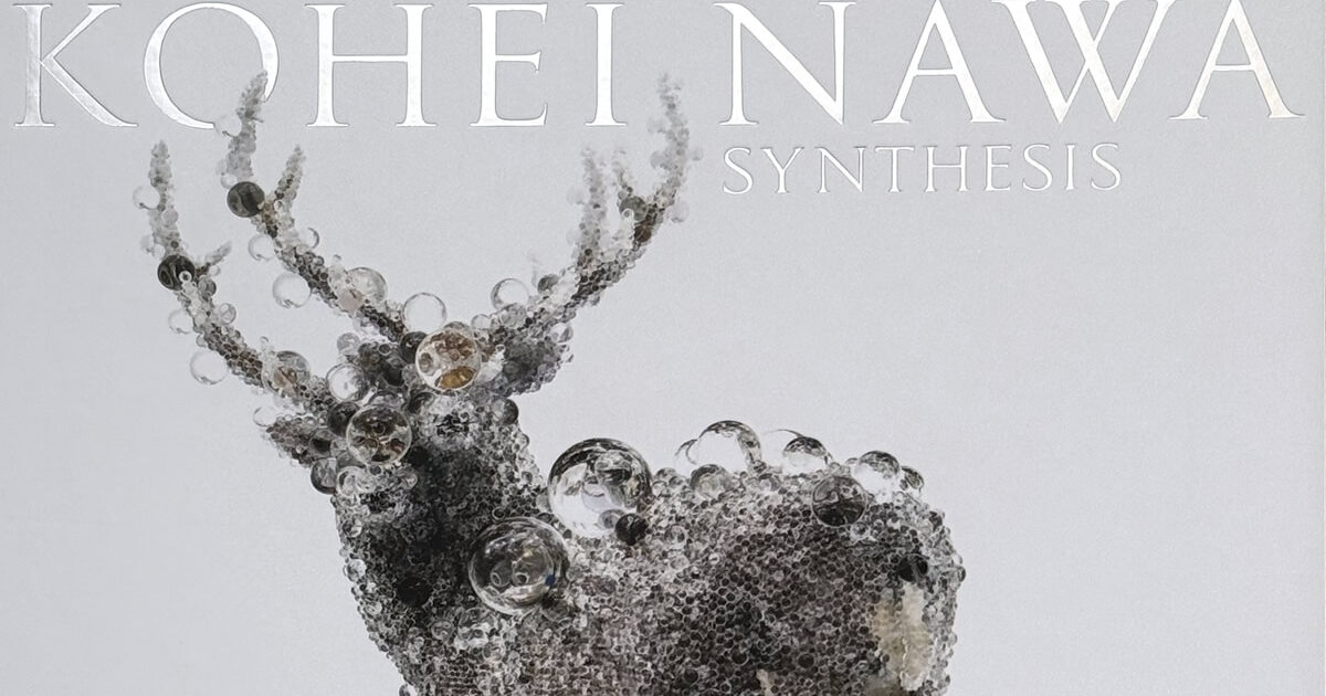 名和晃平 ドローイング付き SYNTHESIS 名和晃平 SYNTHESIS オリジナル