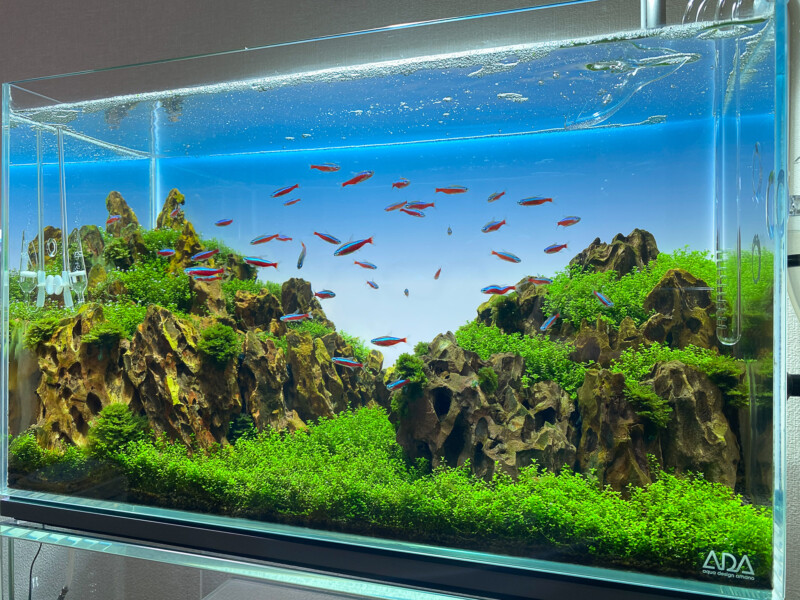 ADA 60cm水槽・ADA LED照明 まとめ売り