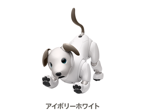 aiboのご購入（安心お任せパック） | aibo