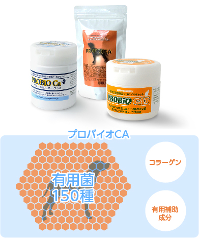 プロバイオCAができるまで｜犬のアレルギー、犬のアトピーや犬の病気