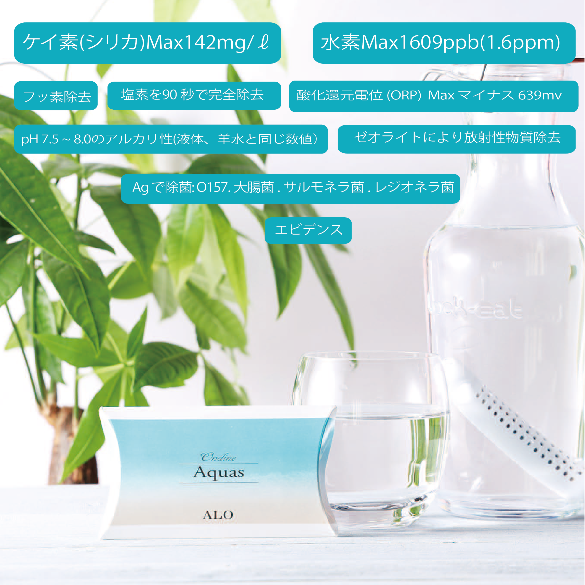 Ondine Aquas | 株式会社ALO