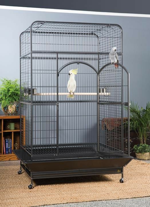 000000008953-09-l.jpg?t=