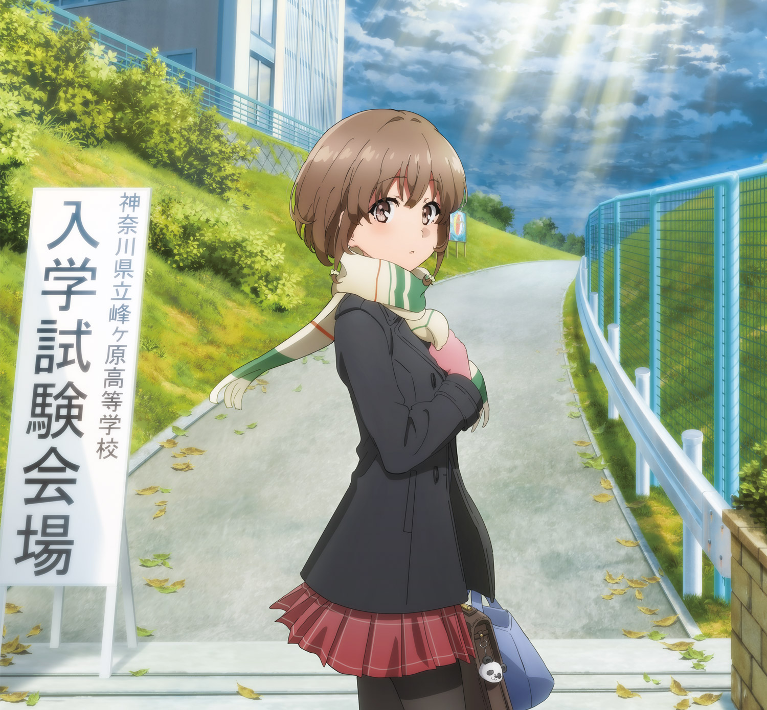 劇場アニメ「青春ブタ野郎はおでかけシスターの夢を見ない」公式サイト