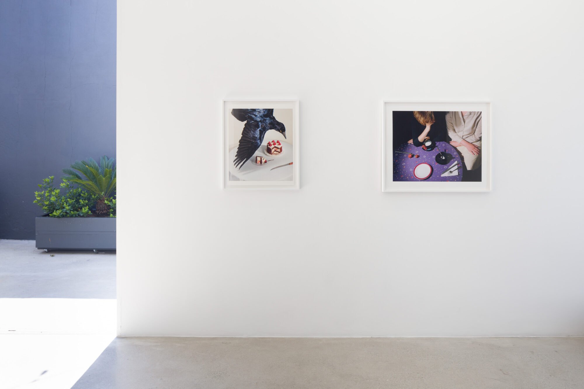 超希少】Jo Ann Callis ジョー・アン・キャリス オリジナル写真作品 超