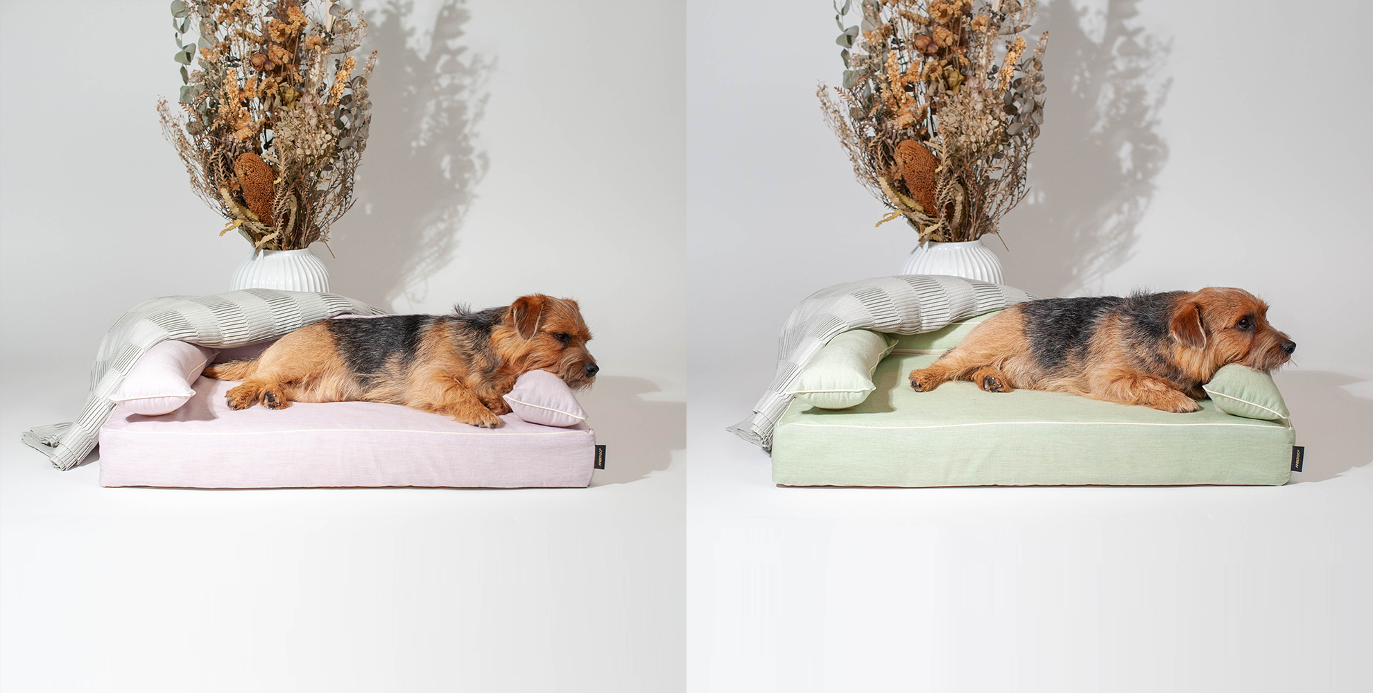 犬用ベッドならアンベルソのロイヤルベッド | 日本製・洗える高級ベッド