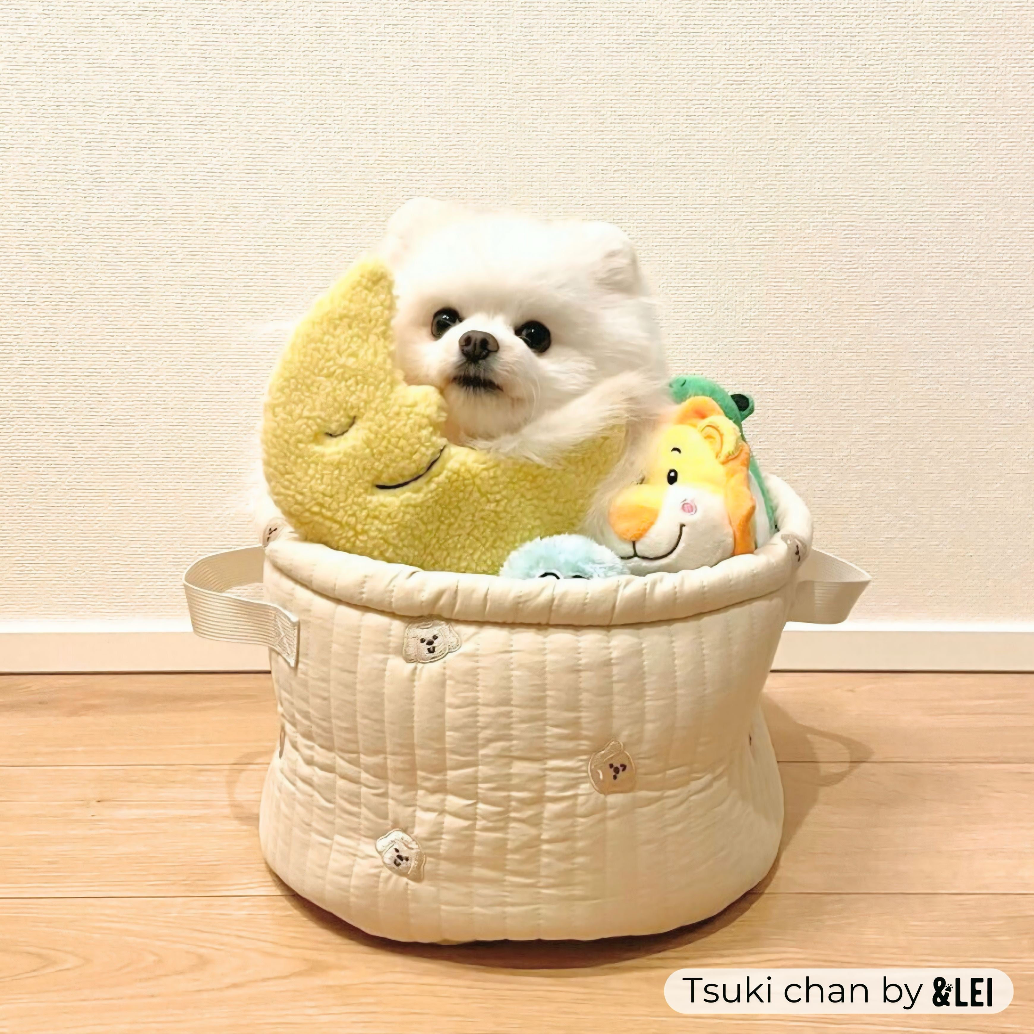 愛犬や赤ちゃんの足跡で作るオンリーワン犬用収納なんでもボックス