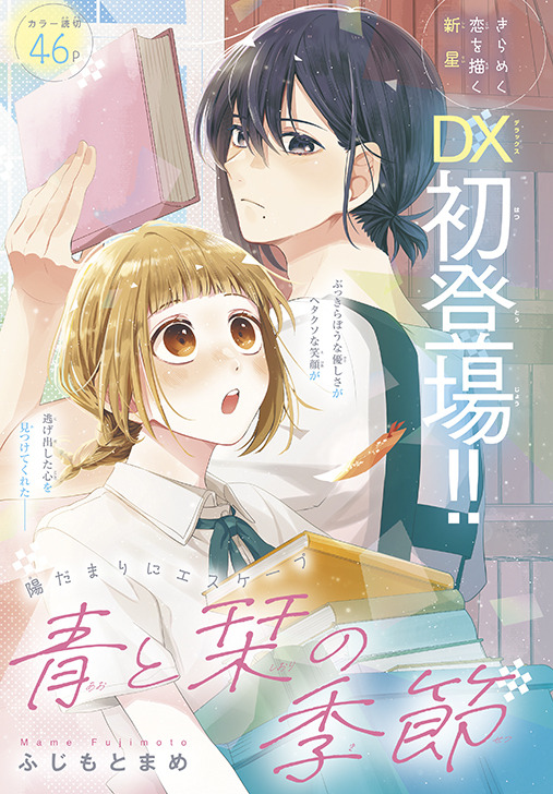 年内最終価格】ヴァンパイア騎士 他 まとめ売り 最終回 扉絵 表紙