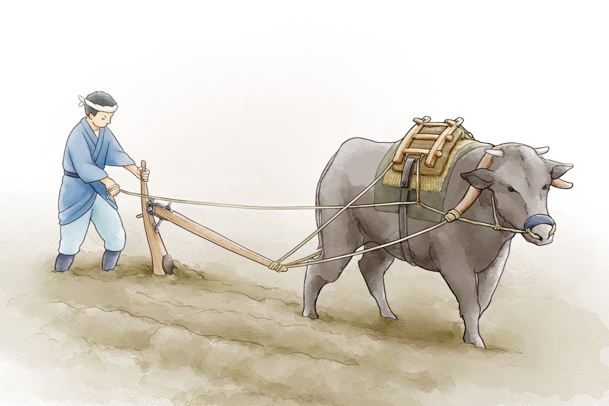 農耕に使った牛の鞍