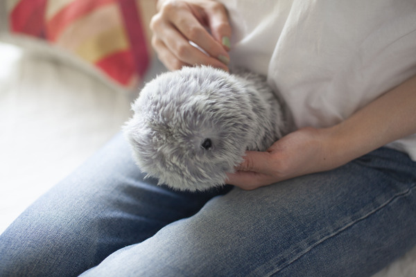 AIペット モフリン Mofrin シルバー