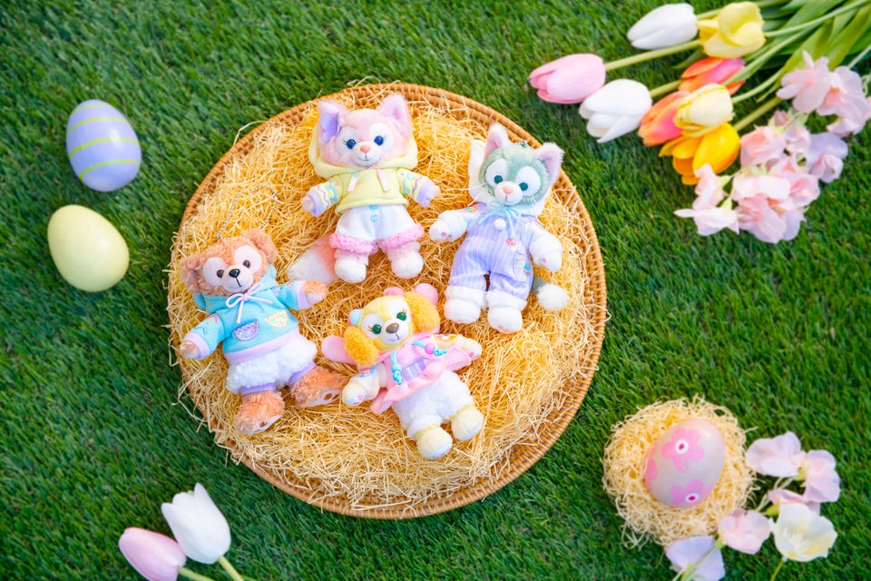 東京ディズニーシー「ダッフィー＆フレンズのカム・ファインド