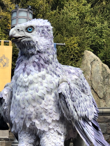 ハリポッターの鳥 ハリポッターの鳥