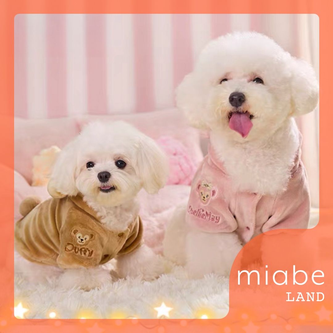 Group B｜10-15営業日国内倉庫発送｜上海ディズニー公式グッズ専門