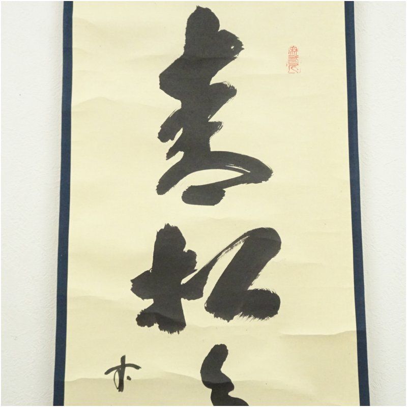 前大徳 藤井誡堂筆 「青松多寿色」一行書 肉筆紙本掛軸（共箱） 掛け軸