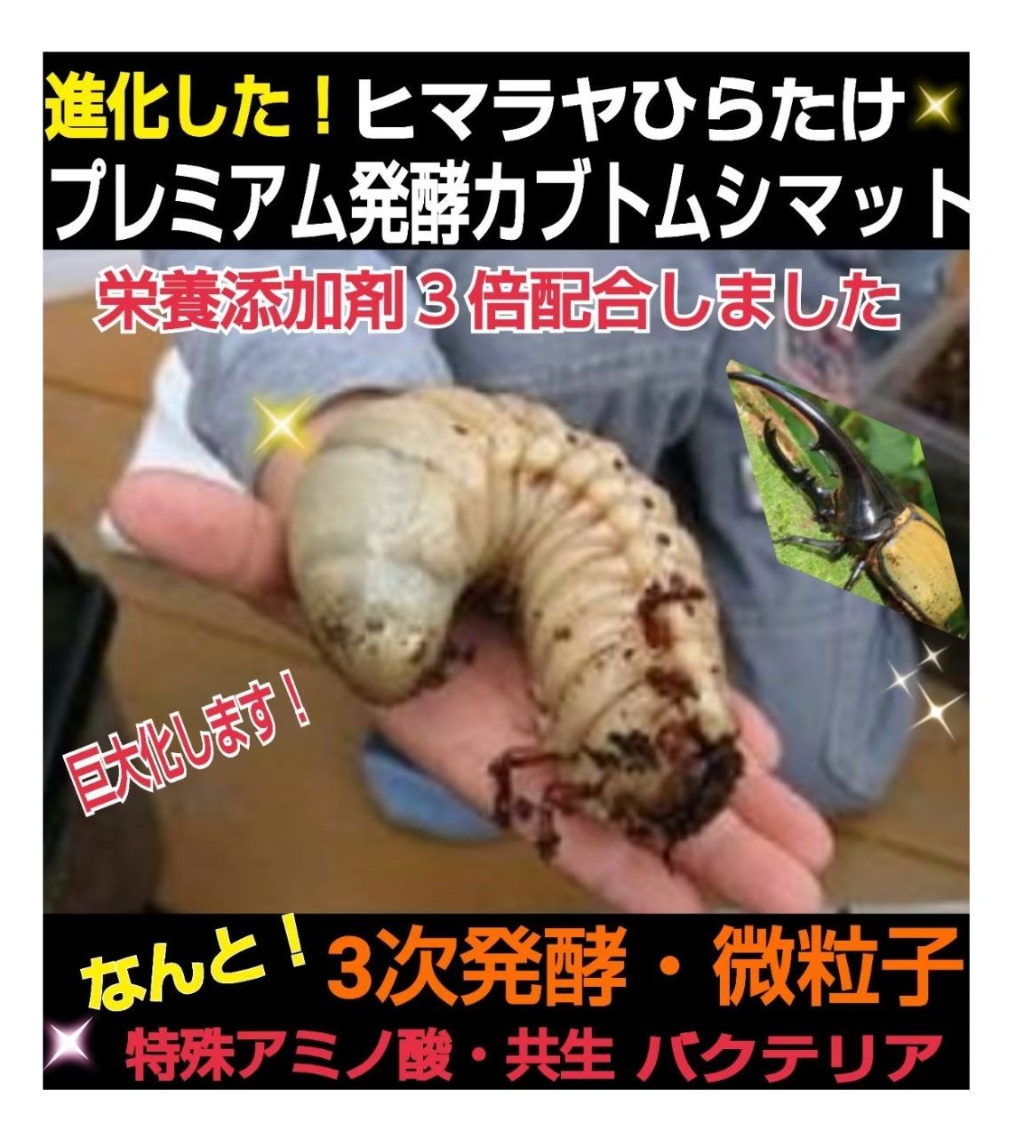 極上☆ギネス狙いに！プレミアム3次発酵カブトムシマット【6袋】特殊