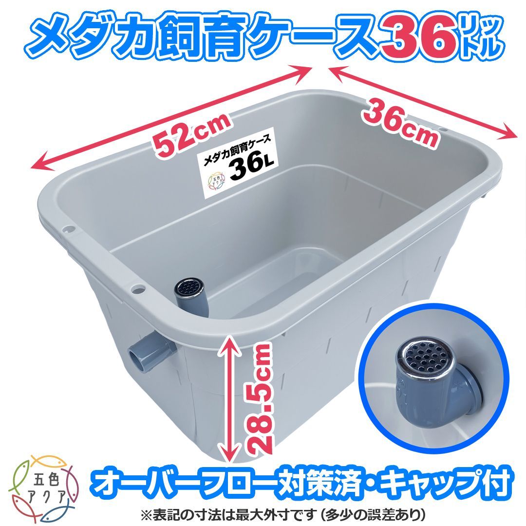 メダカ飼育ケース 36㍑x3個【4色あり】大雨でも安心 メダカ飼育容器