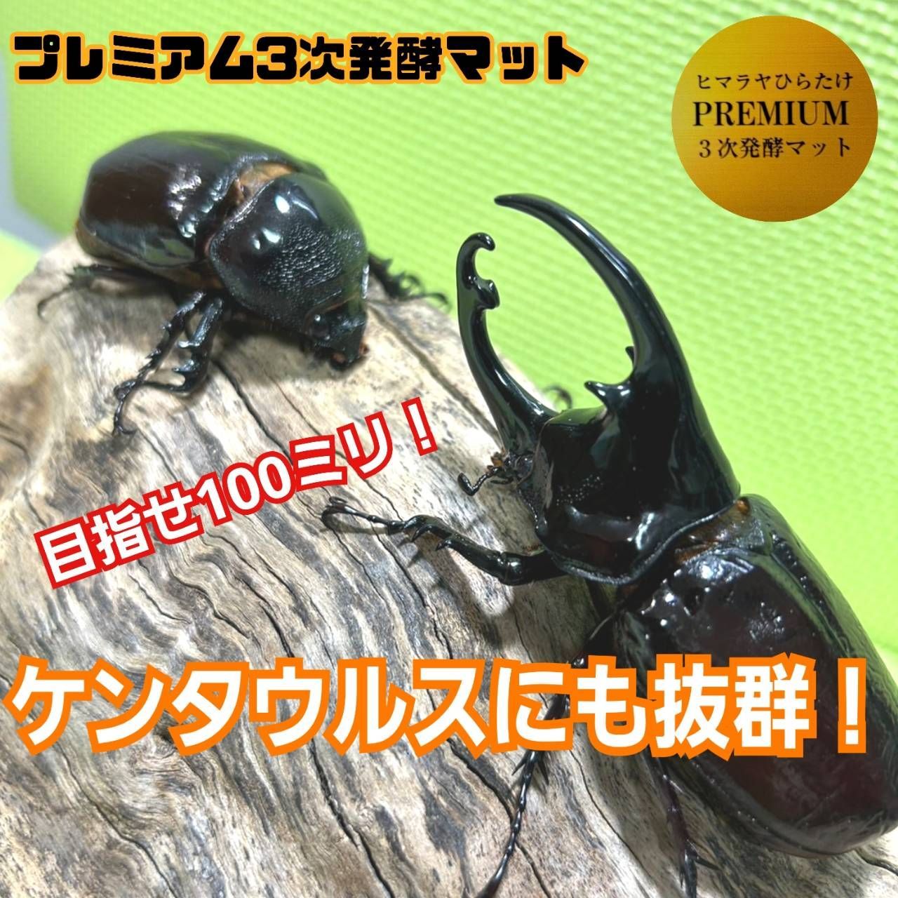 カブトムシの産卵専用 カブトムシの産卵専用 特選ビートルマット添加剤