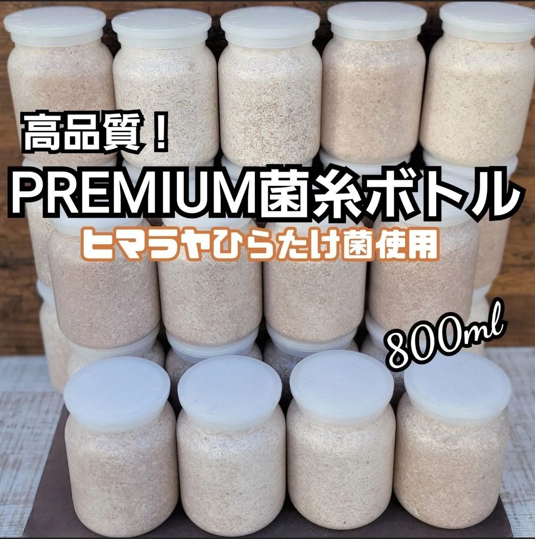 極上！初菌使用☆ ヒマラヤひらたけ菌糸ブロック 5個 トレハロース